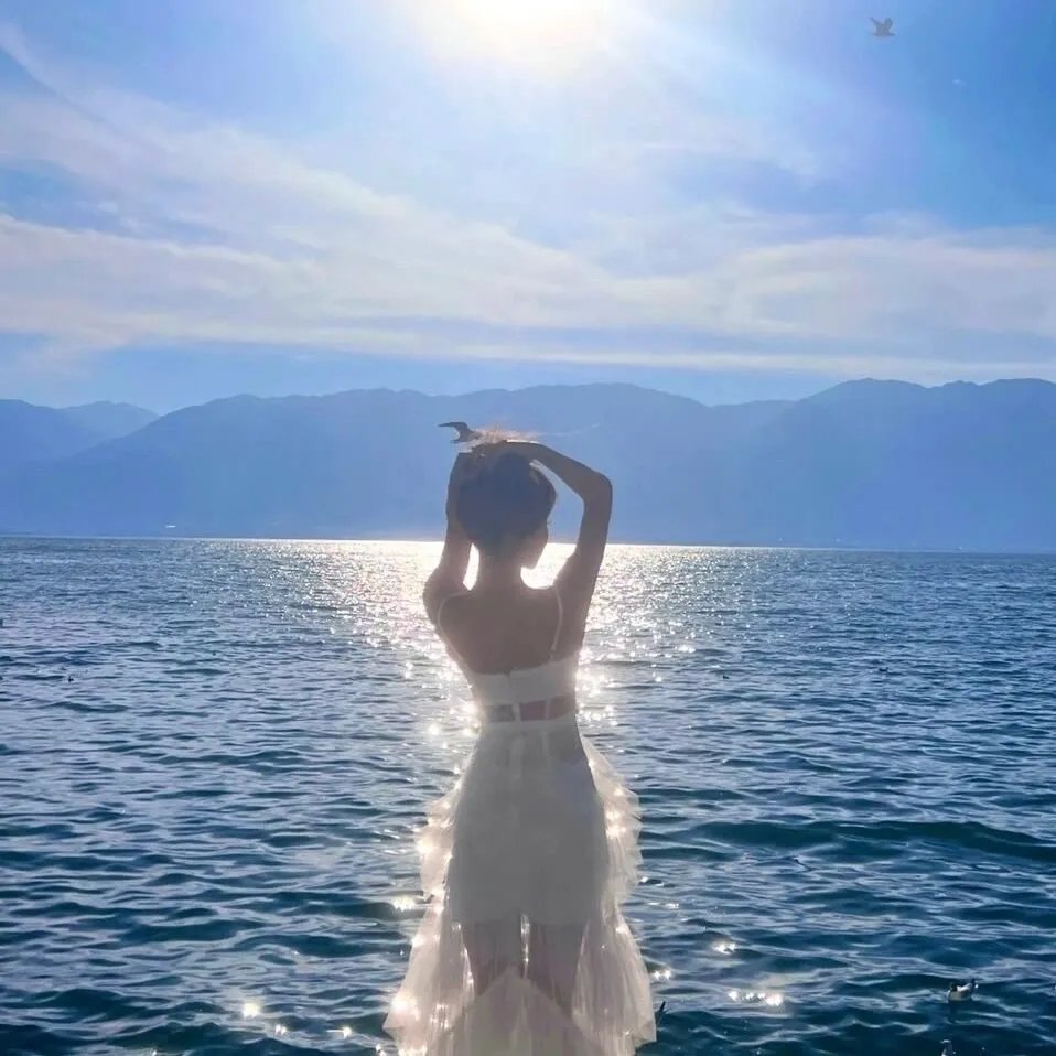 房子的故事